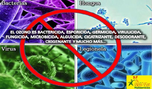 Limpiezas Ben – Fet virus